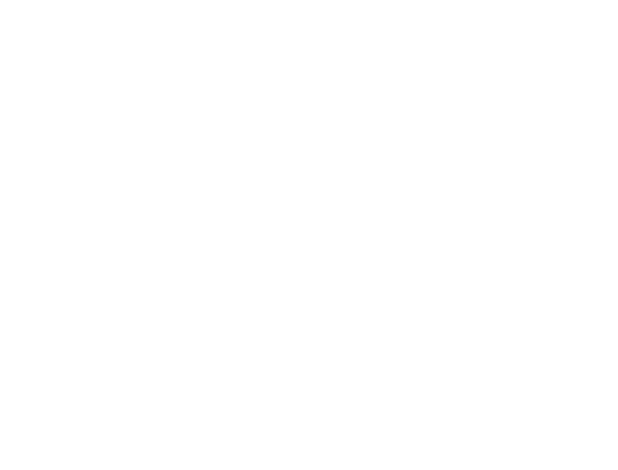 Indonet logo