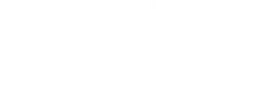 PLN Icon Plus logo