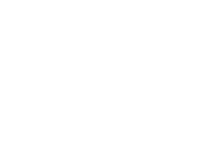 Indonet logo