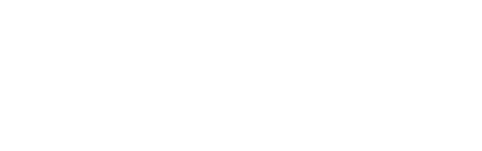 PLN Icon Plus logo