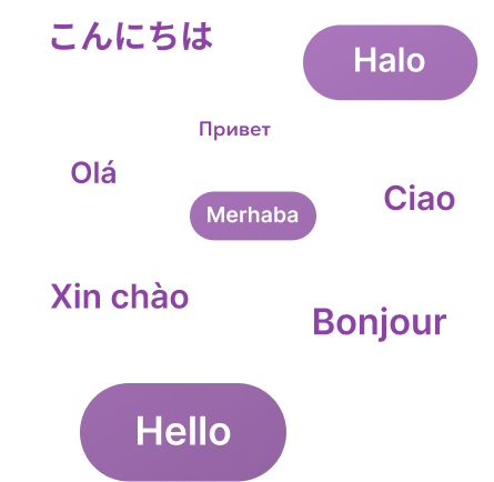 Adaptability illustration showing multi-language support